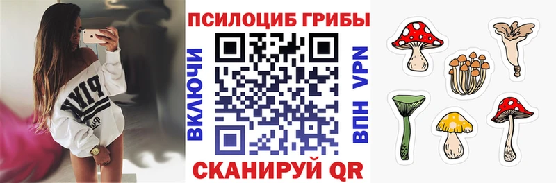 mega сайт  Южноуральск  Галлюциногенные грибы мицелий 
