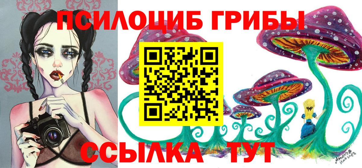 Псилоцибиновые грибы Cubensis Южноуральск